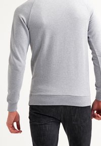 Szara bluza z długimi rękawami raglanowymi i prążkowanym wykończeniem na dole. Wykonana z miękkiego materiału, cechująca się minimalistycznym designem bez wzorów.