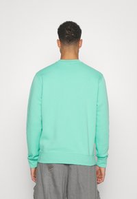 Sweatshirt verde menta com decote redondo, mangas longas e punhos canelados. Feito de um tecido macio, apresentando um design liso sem padrões.
