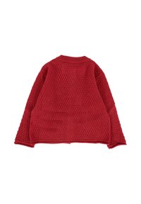 Maglione rosso lavorato a maglia con maniche lunghe, motivo testurizzato, scollatura a girocollo e fit rilassato, mostrato da dietro su uno sfondo bianco.