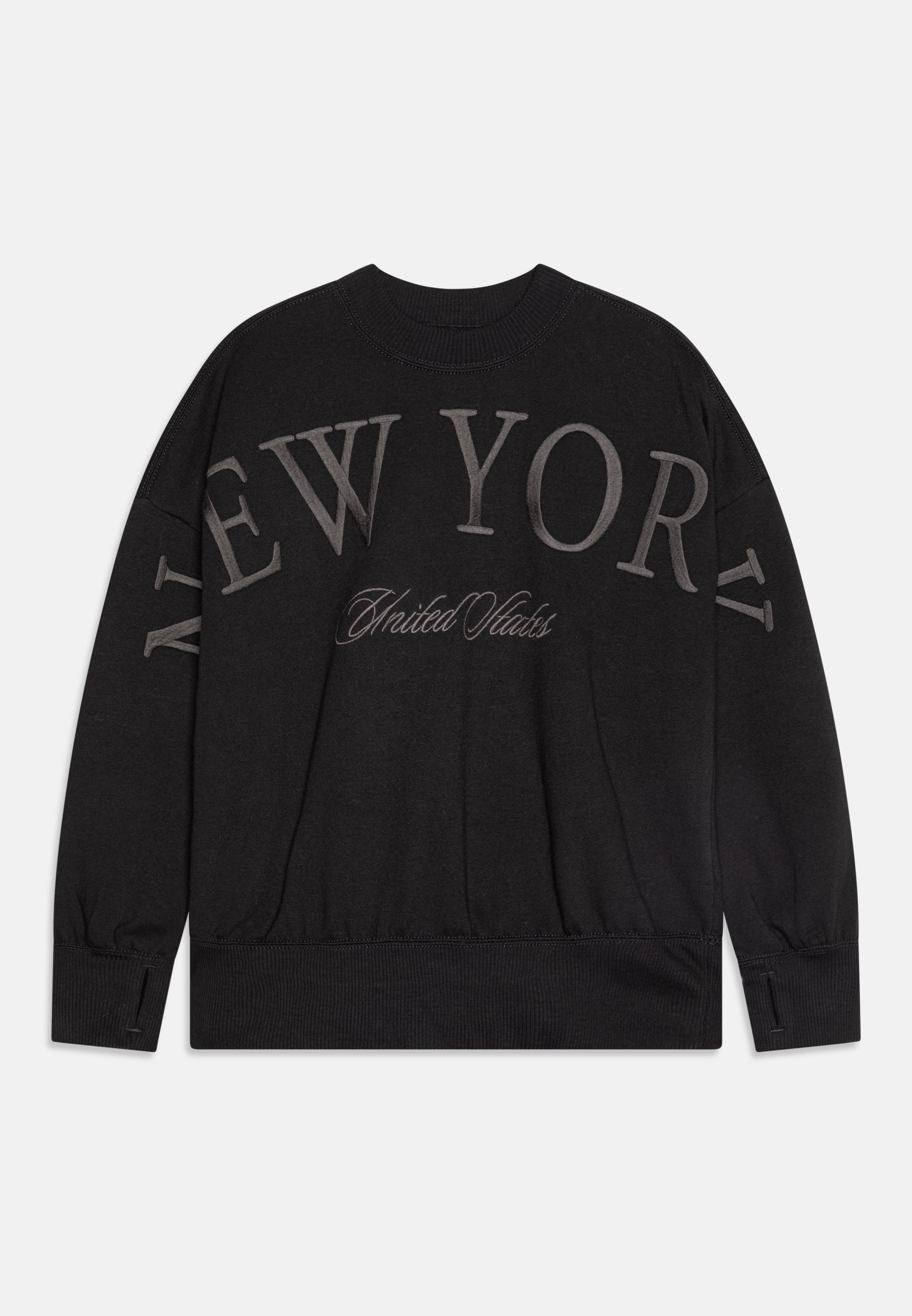Abercrombie Fitch DESTINATION GRAPHIC CREW Sweatshirt
