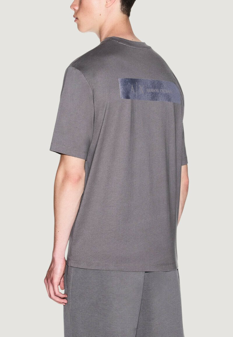 Camiseta de algodón gris con mangas cortas, cuello redondo acanalado y un parche rectangular azul texturizado con el logo en la parte posterior.