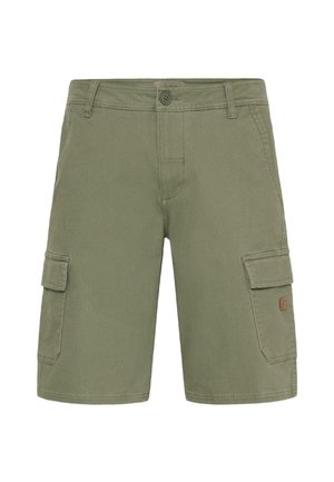 Green cargo shorts featuring a button closure, two side pockets, and a textured fabric. Notable for casual design and utility pockets.