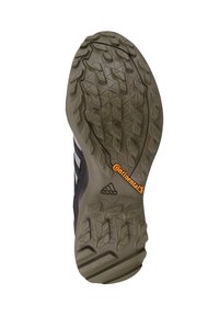 adidas Performance TERREX SWIFT R2 GTX szary