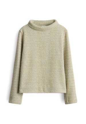 Langarm-Turtleneck-Pullover in Hellgrün mit strukturiertem Muster. Weiches Material, lockere Passform und der Saum sitzt über der Taille.