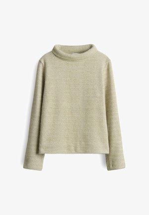 Pull à manches longues, col roulé en vert clair avec un motif texturé. Matière douce, coupe décontractée, et l'ourlet se situe au-dessus de la taille.