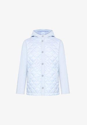 Hellblaue Steppjacke mit Druckknöpfen, langen Ärmeln, Seitentaschen und einer angesetzten Kapuze, entworfen für kaltes Wetter.