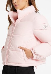 Šviesiai rožinė pūkinė striukė su aukštu apykakle, užtrauktuku ir šoninėmis kišenėmis. Papildomai turi elastingas rankoves ir subtilų prekės ženklą ant krūtinės bei rankovės.