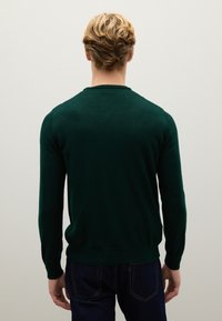 Pullover verde lavorato a maglia con maniche lunghe, scollatura rotonda e polsini e orlo a costine. Texture liscia, design aderente, indossato con jeans scuri.
