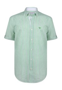 Unausgewählt, green