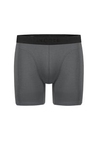 Boxers gris en matériau extensible avec une ceinture élastique noire portant le texte de la marque. Le design comprend des coutures latérales pour un look ajusté.