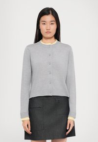 Cardigan grigio a maglia con scollatura rotonda, chiusura frontale con sei bottoni e polsini a costine, sopra uno strato interno giallo, abbinato a una gonna scura.