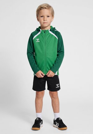 Hummel, LEAD 20 - Sweatjakke - jelly bean evergreen
