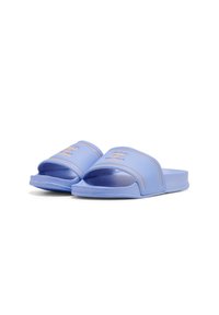 Hummel Pool slides - hydrangea