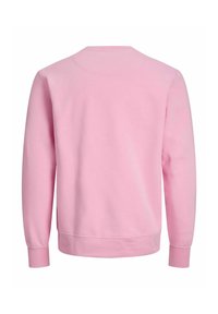 Hele roosa sweatshirt pehmest puuvillasest materjalist, ümmarguse kaelusega, pikad varrukad ning soonikkoes mansetid ja äär. Tagantvaade.