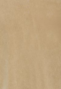 Tissu beige lisse avec une texture douce et veloutée et de légères variations de couleur sur la surface.
