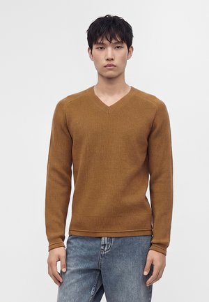 Jeune homme aux cheveux courts noirs portant un pull marron à col en V et un jean bleu, debout devant un fond blanc uni.
