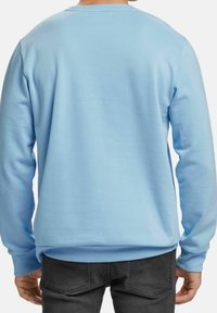 Ljust blå sweatshirt med rund halsringning, ribbade ärmslut och nederkant, med en mjuk textur, visad från baksidan.