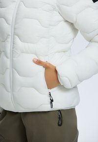 Icepeak BLACKEY - Giacca invernale - puder