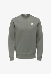 Seleccionado, castor gray