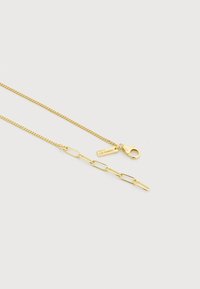 Λεπτό χρυσό κολιέ με αλυσίδα, κούμπωμα τύπου λαβίδα και ρυθμιζόμενους οβάλ κρίκους, με μια μικρή χαραγμένη πλακέτα.