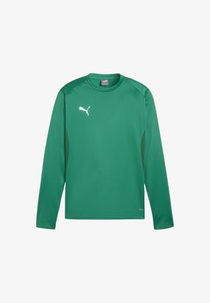 Puma, GOAL - Maglietta a manica lunga - gruenweiss