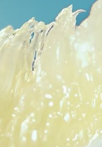 Närbild av ett genomskinligt, ljusgult ämne med taggiga kanter, som har en glänsande yta och fina detaljer som liknar kristallina strukturer.