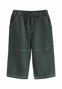Next CARPENTER JOGGERS-REGULAR FIT - Träningsbyxor - charcoal grey