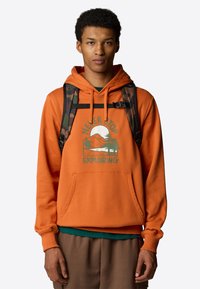 Pomarańczowa bluza z kapturem z kieszenią z przodu, z graficznym nadrukiem gór i drzew. Połączona z zieloną koszulką i brązowymi spodniami.