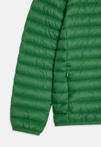 Giubbotto imbottito verde con pannelli cuciti, finitura testurizzata, polsini elasticizzati e un dettaglio con tasca con zip sul lato. Materiale leggero.