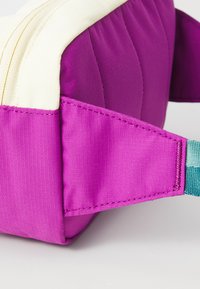 Columbia TRAIL TRAVELER™ HIP PACK UNISEX Sac banane