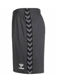 Grå träningsshorts med en svart chevronmönstrad sidrand och elastisk midjeresår. Har en vit logotyp längst ner till vänster.