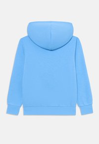 Hoodie bleu clair avec capuche et manches longues, fabriqué en tissu doux avec une texture lisse. Design simple avec des poignets et un ourlet côtelés.