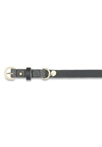 Dark gray leather belt with a smooth texture, featuring a gold metal buckle, stud detailing, and a loop for secure fastening.
