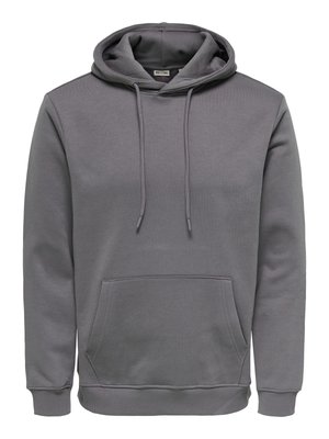 Grijze lange mouw pullover hoodie met kangaroovormige zak aan de voorkant en trekkoord aan de capuchon, gemaakt van zacht stof.