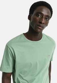 Mintgrünes Baumwoll-T-Shirt mit rundem Halsausschnitt und kurzen Ärmeln, das ein kleines gesticktes Logo auf der Brust trägt. Sanfte Textur.