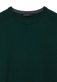 Calliope PROFILI CONTRASTO FIN  - Strickpullover - vert