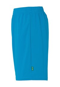 Blaue Sportshorts aus leichtem Material. Elastischer Bund oben. Verfügt über ein kleines grünes Markenzeichen an der Seite.