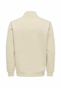Beige Sweatshirt mit hohem Kragen, langen Ärmeln und gerippten Bündchen. Glatte Stofftextur, minimalistisches Design, keine sichtbaren Logos oder Muster.