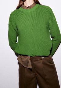 Person, der einen leuchtend grünen Strickpullover über einem braunen Hemd mit Kragen und lockeren braunen Hosen trägt, vor einem schlichten weißen Hintergrund.