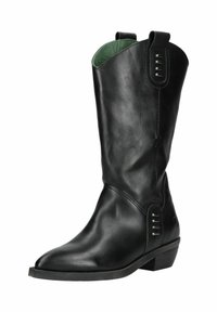 Botte de cowboy en cuir noir avec un bout pointu, doublure intérieure verte, éléments latéraux et un petit talon. Comprend des languettes pour un enfilage facile.