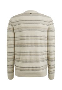 Light beige knit sweater with horizontal stripes in darker tones. Features ribbed cuffs and hem, crew neck, and small back detail.
