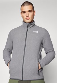Grå fleecejakke med lynlås og høj krave, der har to sidelommer og The North Face-logo på brystet. Blød tekstur, tætsiddende design.