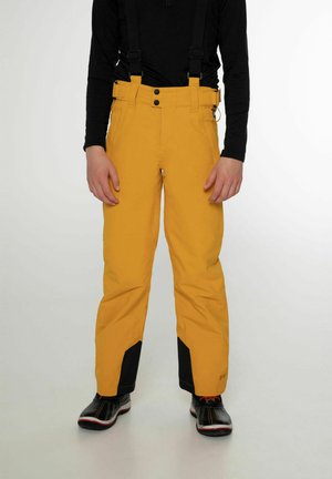 BORK - Pantalons de ski - dark yellow