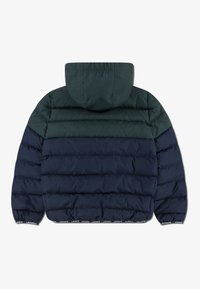 Lacoste PUFFER - Casaco de inverno - sinople