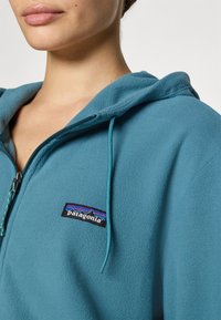 Light blue fleece jacket with a zip front, adjustable hood, and a Patagonia logo patch on the chest. Soft texture and smooth finish.