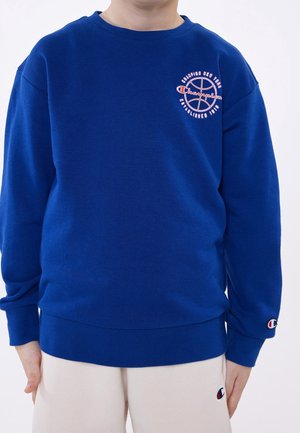 Person iført en blå Champion sweatshirt med basketball-logo på brystet og beige bukser, hænderne hvilende ved siderne, mod en hvid baggrund.