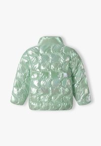 Doudoune brillante vert clair avec motif matelassé, col montant et manches longues, vue de dos sur fond blanc.