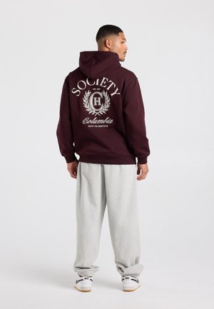 America Today, HOODIE - Hoodie - bordeaux