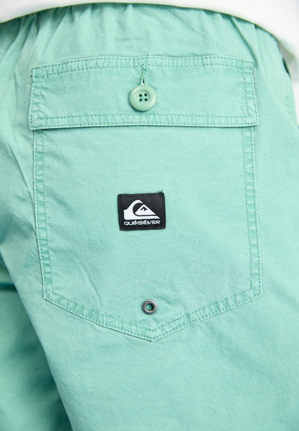 TAXER FATIGUE - Shorts2