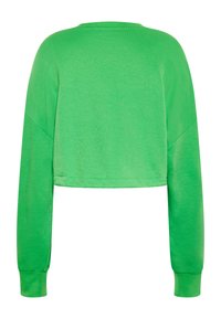 Felpa verde a maniche lunghe, taglio corto, realizzata in un tessuto morbido, con scollo tondo e polsini a costina; presenta un design semplice senza ulteriori accenti.